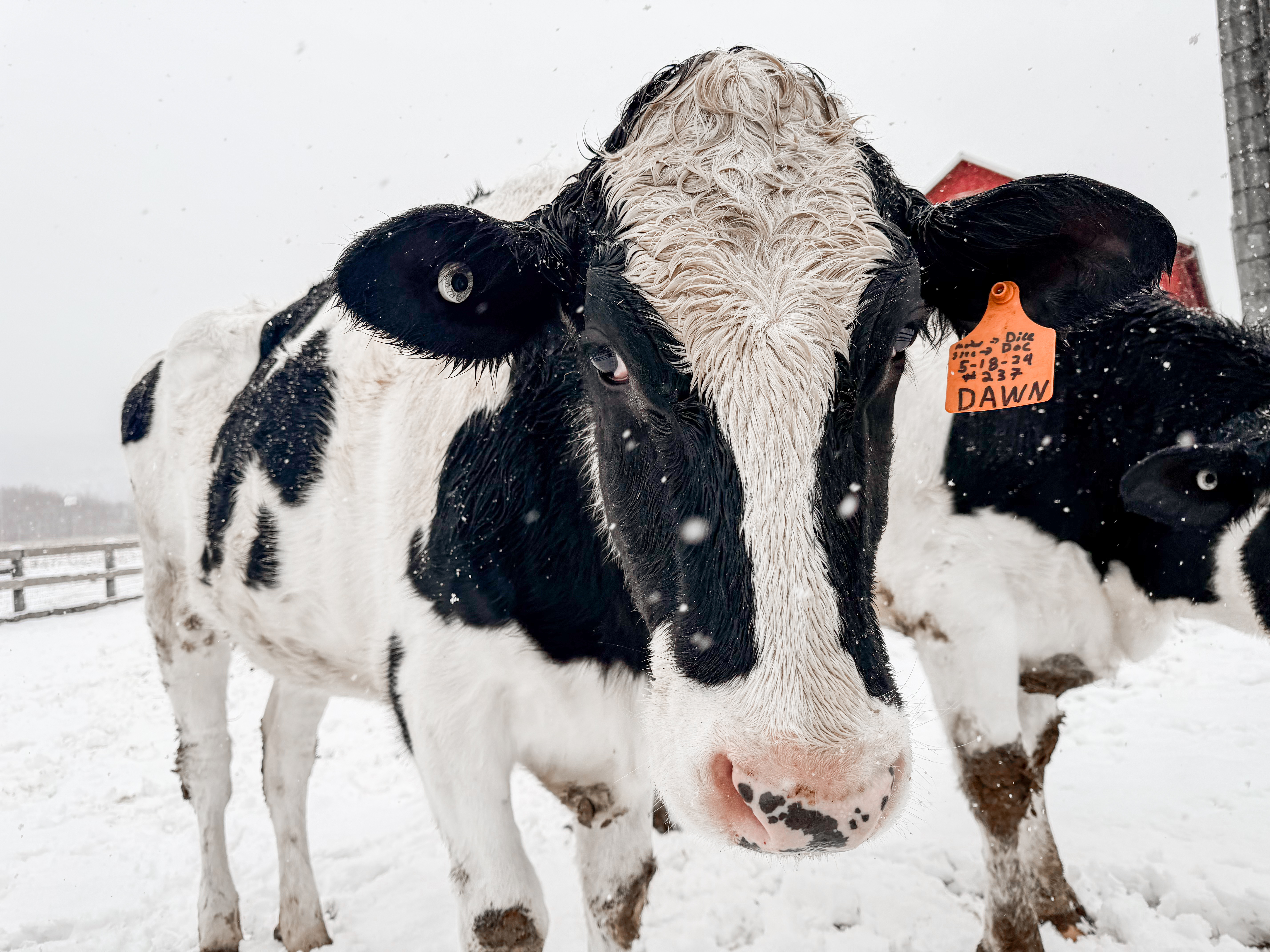 Warwick 2025: Record Highs and the Return of the “Acreage Advantage”